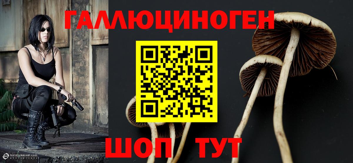 Воронеж  Галлюциногенные грибы мухоморы  Вход с VPN  купить  цена  Галлюциногенные грибы мухоморы 